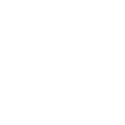 github login icon
